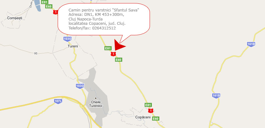 Caminul de batrani Sfantul Sava Adresa: DN1, KM 453+300m, Cluj Napoca-Turda
localitatea Copaceni, jud. Cluj. Telefon: 0757459717